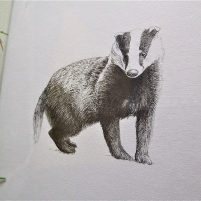 Badger Print by Creature Candy