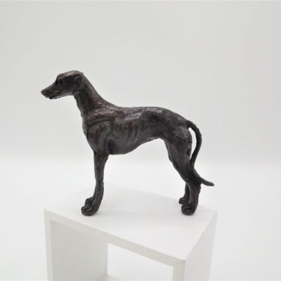 Standing Greyhound