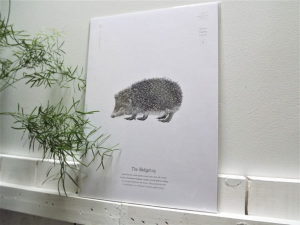 Hedgehog Print by Creature Candy