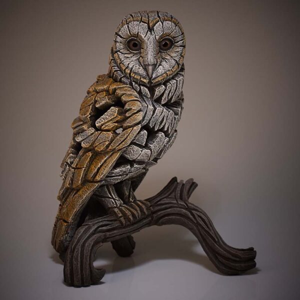 Barn Owl by Matt Buckley