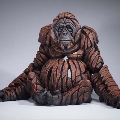 Orangutan by Matt Buckley