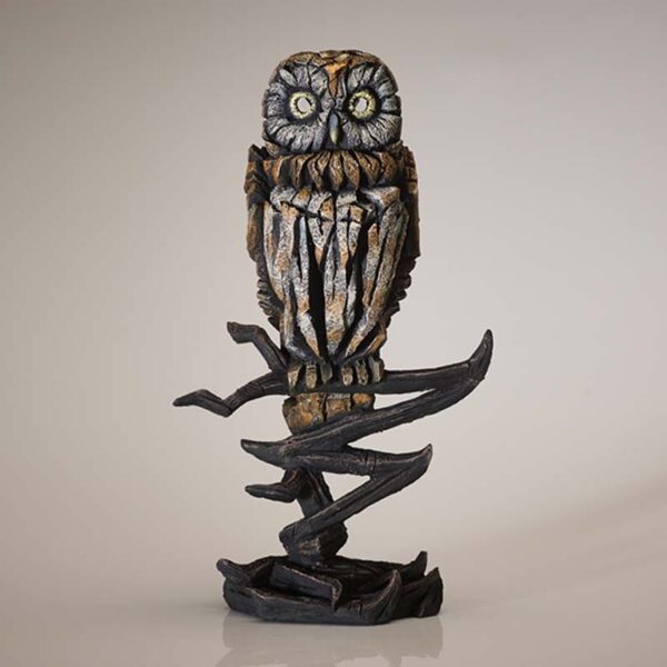 Tawny Owl by Matt Buckley