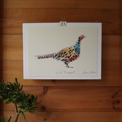 ‘Wild Pheasant’ open edition print by Sam Wilson