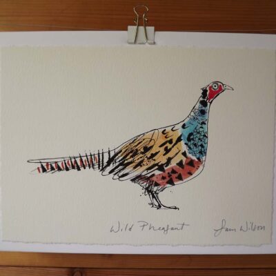 ‘Wild Pheasant’ open edition print by Sam Wilson